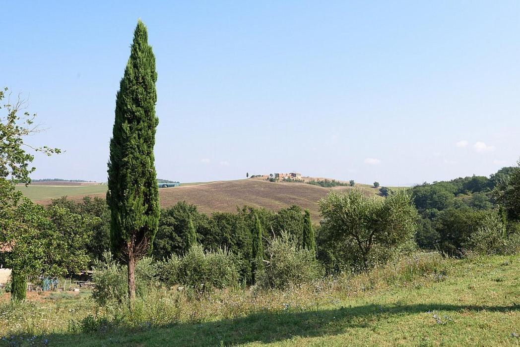 Buonconvento Villa Sleeps 3 Pool Wifi Exterior photo